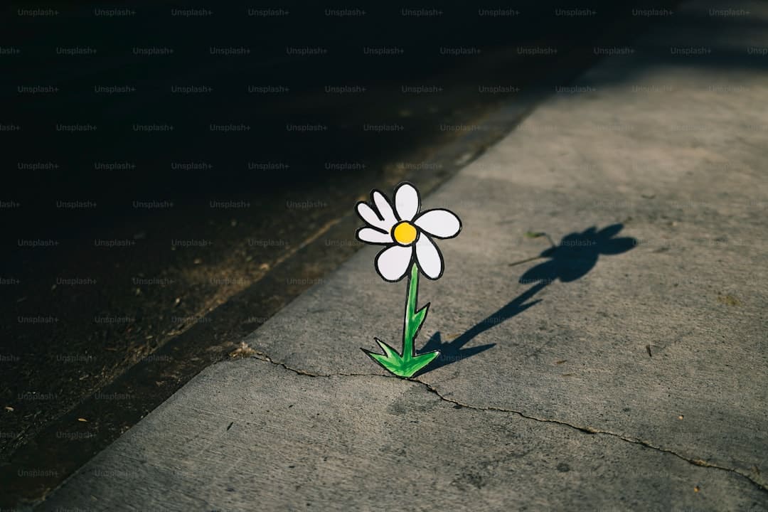 商业头条No.90